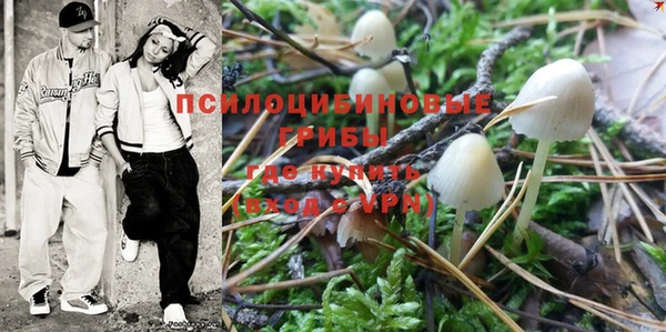 молекула духа Арсеньев