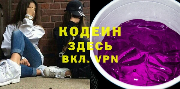 молекула духа Арсеньев
