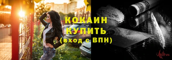 молекула духа Арсеньев